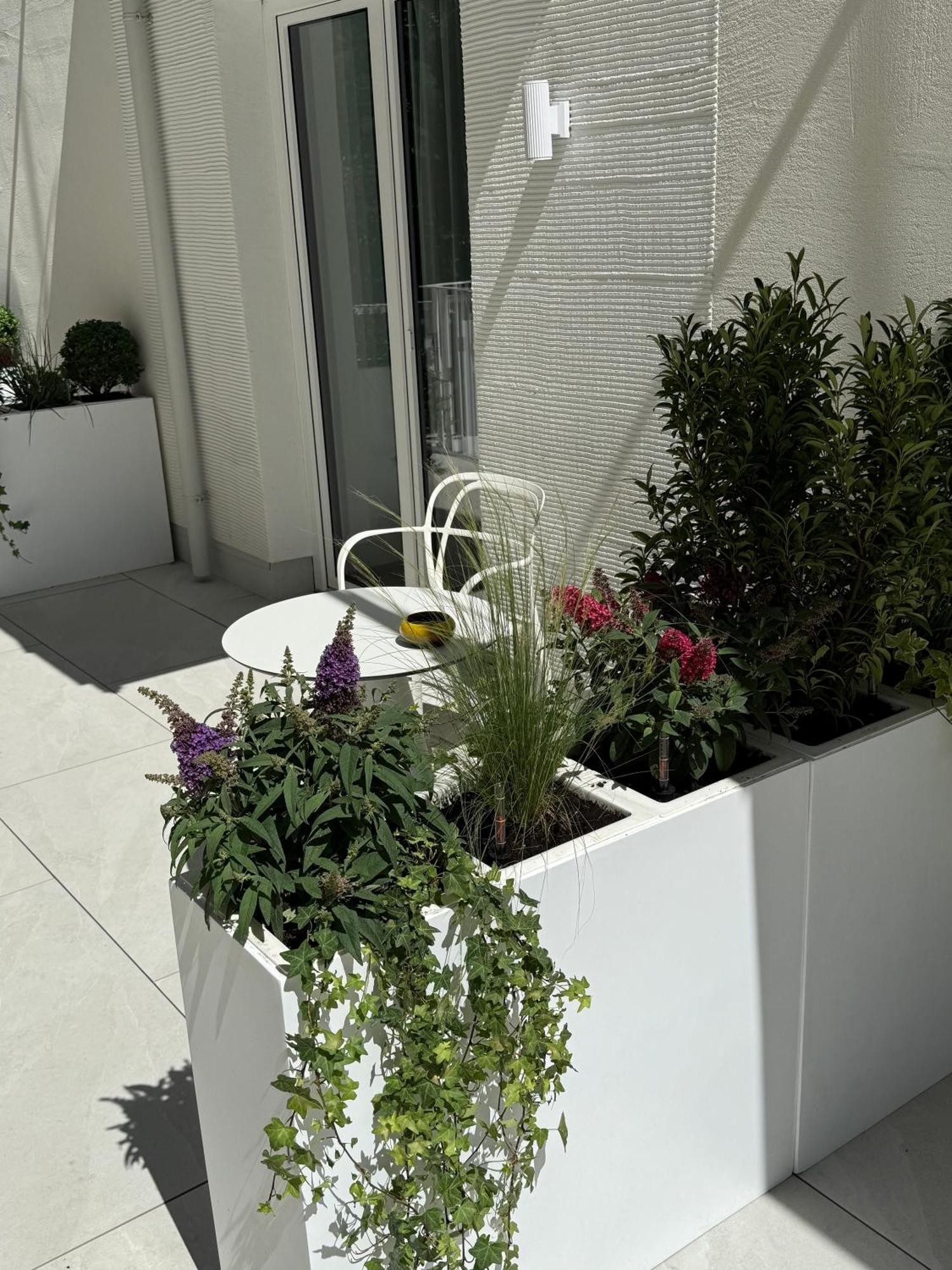 Deluxe Double Room Balcony